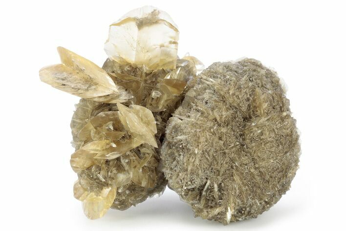 Twinned Selenite Crystals (Fluorescent) - Red River Floodway #242628